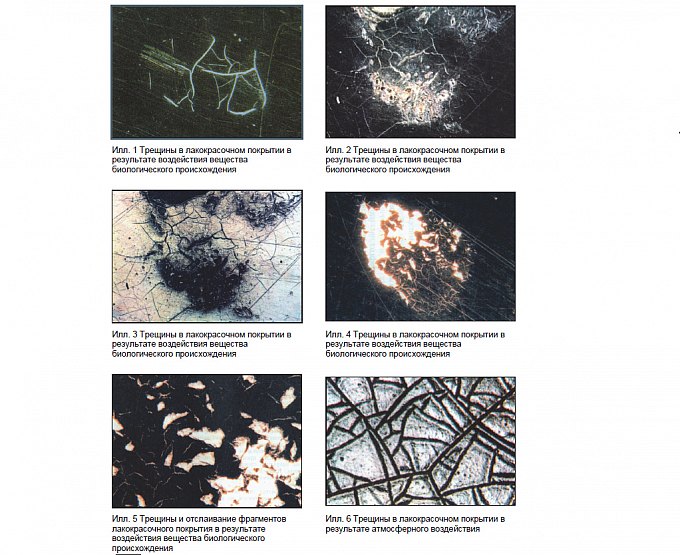 Иллюстрации из «Каталога повреждения лакокрасочных покрытий. VOGEL.» (П. фон ден Керкхофф, Г. Хааген. Третий Рим. М., 2004)