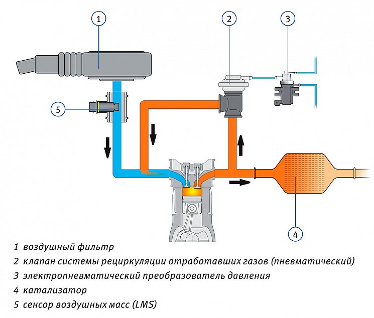 Схема снабжения двигателя воздухом
с датчиком LMS и системой AG